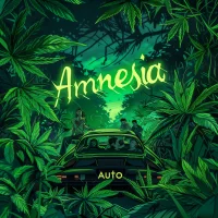 Nordkraut Amnesia Auto