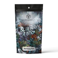 Nordkraut Blueberry Auto