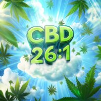 Nordkraut CBD 26:1