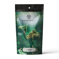 Nordkraut Critical