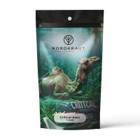 Nordkraut Critical Auto