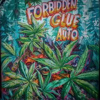 Nordkraut Forbidden Glue Auto