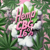 Nordkraut Hemp CBG 16%