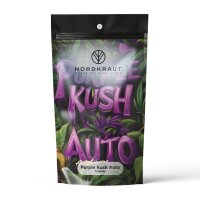 Nordkraut Purple Kush Auto