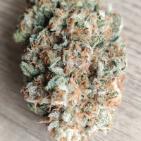 Nordkraut Sour Diesel Auto
