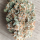 Nordkraut Sour Diesel Auto