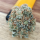 Nordkraut Sour Diesel Auto