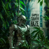 Nordkraut Super Silver Haze